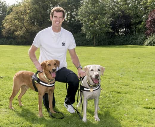 Andy Murray with Border Force sniffer dogs Tyke and Marley