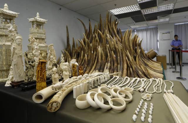 Carved and raw tusks are displayed after a seizure in Hong Kong in May. Picture: AP