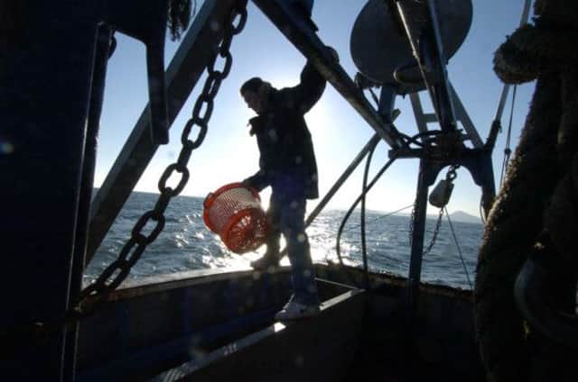 The waters around Scotlands northern shores have seen an increase in the abundance of cod. Picture: Julie Bull