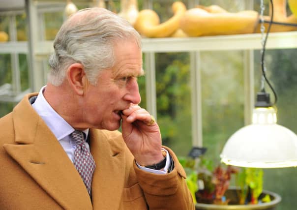 Prince Charles intervened in a row over a school gym being built that would have blocked a view of Ben Nevis. Picture: Getty