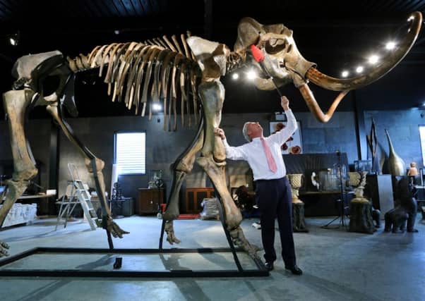 James Rylands, Auctioneer and Director of Summers Place Auctions in West Sussex, preparing the skeleton for auction. Picture: PA