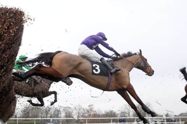 Bearly Legal is ridden to a memorable and dramatic victory by jockey Graham Watters. Picture: John Grossick