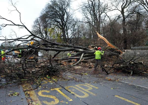 The Met office warns that winds of 'this strength have the potential to uproot trees and perhaps cause damage to buildings' Picture: TSPL