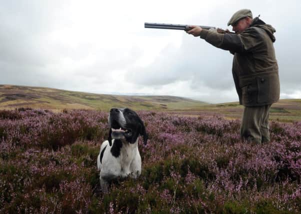 Investment in gamekeeping and modern land management techniques were key reasons in this season's success. Picture: TSPL