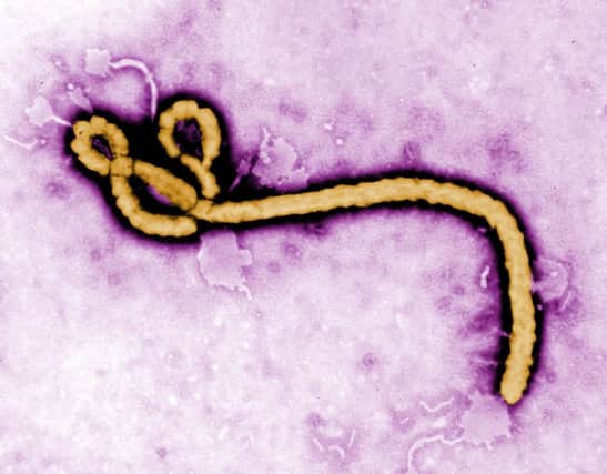 The Ebola outbreak has infected more than 17,800 people  most of them in Liberia, Guinea and Sierra Leone. Picture: PA