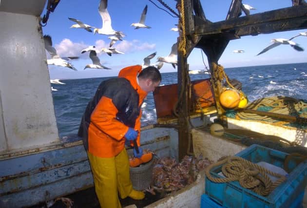 For a sustainable fishing industry, there needs to be balance of activity across the spectrum of sectors and vessel sizes. Picture: Jon Savage