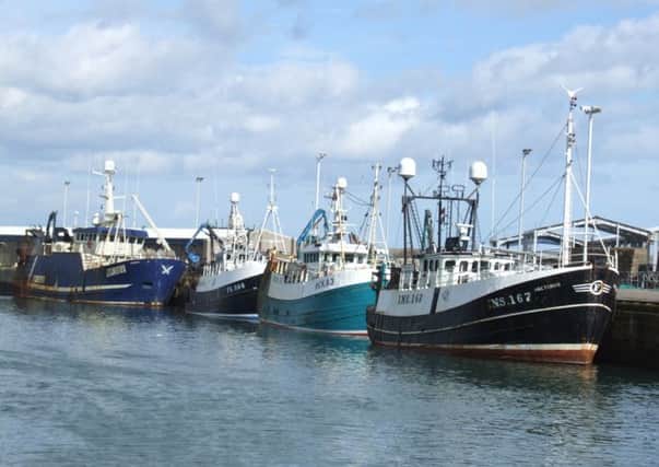 Fishing boats docked in Peterhead Harbour. Picture: TSPL