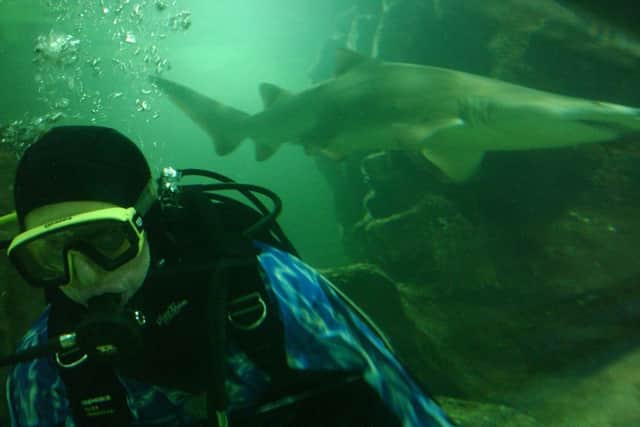 Swimming with sharks at Deep Sea World. Picture: TSPL