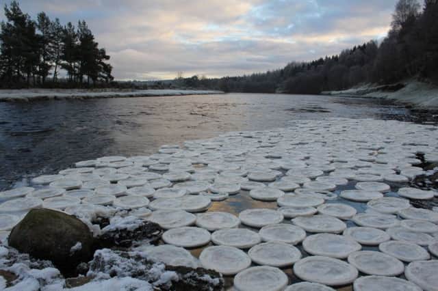 Ice pancakes on the River Dee. Picture:  Jamie Urquhart
