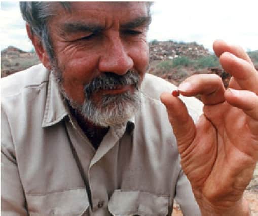 Campbell Bridges spent his life seeking gemstones in Africa. Picture: Central Scotland News Agency