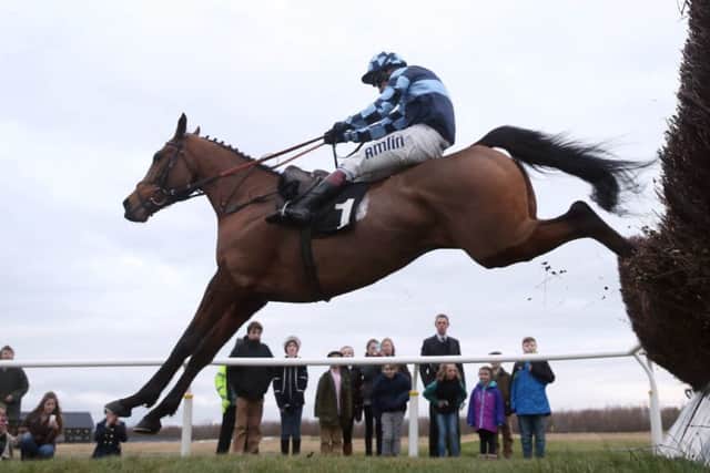 Royal Player, with Richard Johnson aboard, took the Kilmany Cup at Musselburgh for Somerset trainer Philip Hobbs. Picture: Grossick Racing