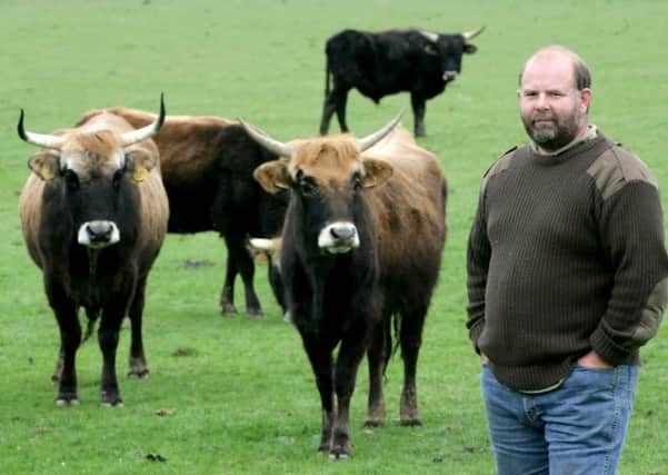 Derek Gow has had to reduce the number of Heck cattle at his farm after admitting defeat in his battle to control the herd's aggressive temperament. Picture: SWNS
