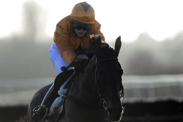 Lizzie Kelly: All quite big and scary. Picture: Getty