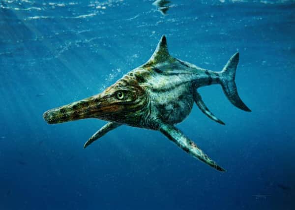 An artist's impression of what 'Nessie's cousin' may have looked like. Picture: PA