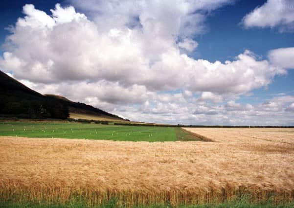 The growing of GM crops has sparked protests over the years. Picture: TSPL