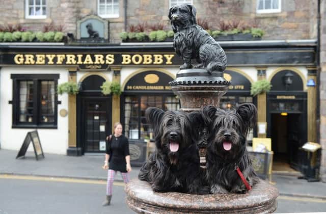 Greyfriar Bobby's statue. Picture: Neil Hanna