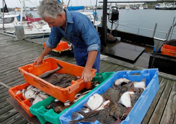 Improvements in the total allowable catches permitted for a range of fish which will help fleets to keep going. 
Picture: Getty Images