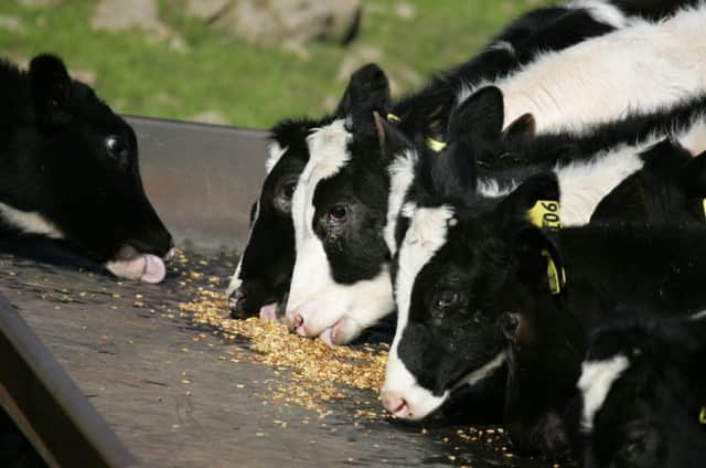 Recent headlines in relation to milk pricing emphasise the need for farmers to look for means of diversification. Picture: Getty