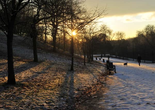 Glasgow's Kelvingrove Park. Picture: Robert Perry/TSPL