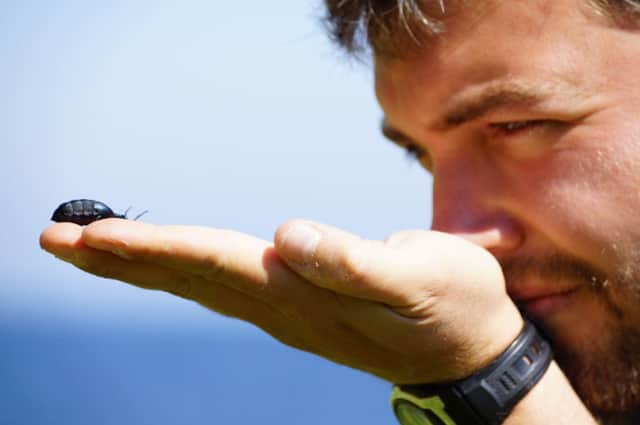 James Silvey of the RSPB, with a rare violet oil beetle on the Isle of Coll