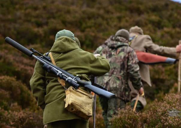 The cull could halve the number of deer in council-owned Perthshire forests Pictures: Jeff Mitchell/Getty