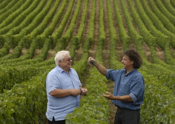 A Burgundy vineyard's grapes are admired. Picture: Phil Wilkinson
