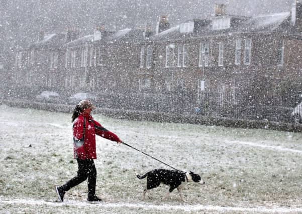 A dog walker walks through the Kings Knot area below Stirling Castle during a snow blizzard. Picture: PA