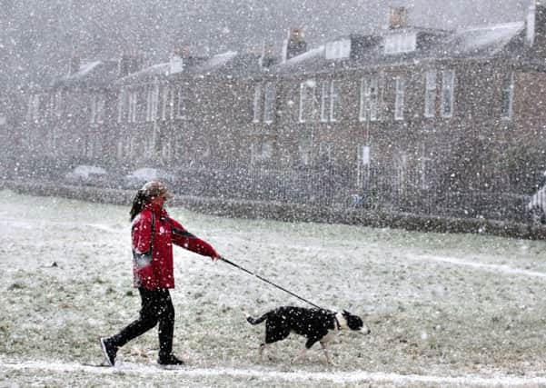 A dog walker walks through the Kings Knot area below Stirling Castle  during a snow blizzard. Picture: PA