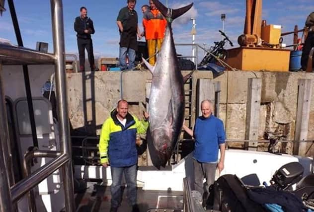 Angus Campbell with the 515lb bluefin tuna. Picture: WINA