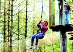Go Ape: Record Scots visitors. Picture: Go Ape