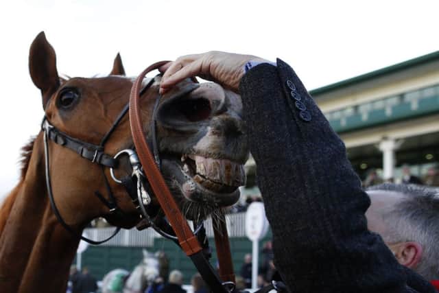 Sire de Grugy looks to be enjoying himself after returning to his best at Chepstow on Saturday. Picture: Getty
