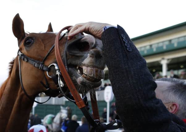 Sire de Grugy looks to be enjoying himself after returning to his best at Chepstow on Saturday. Picture: Getty