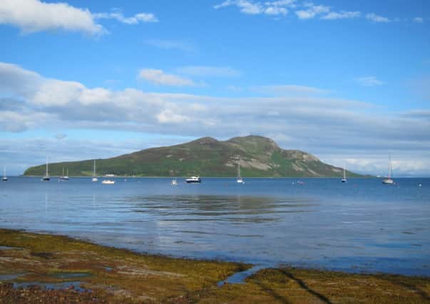 Protecting Lamlash Bay has allowed scallops to thrive. Picture: Contributed