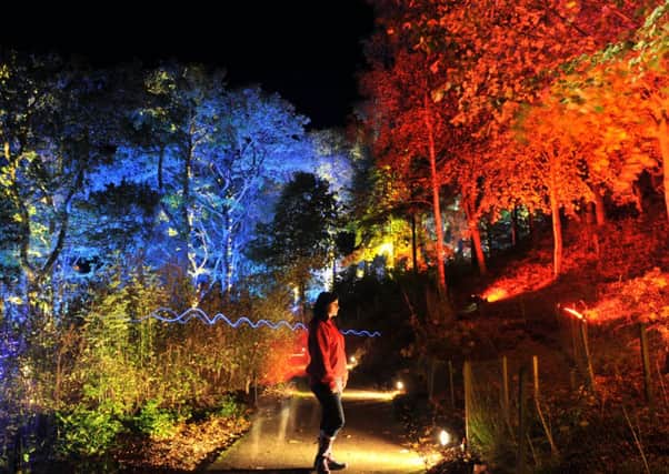 The Enchanted Forest sound and light show in 2011. Picture: Jane Barlow