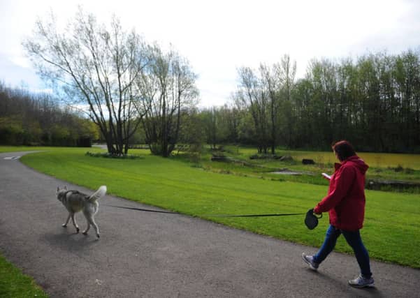 The tennis balls were found in Festival Park in the Pacific Quay area of Glasgow. Picture: Robert Perry