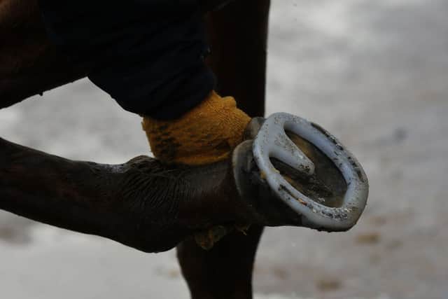 Sire De Grugy was showing off some new white plastic shoes. Picture: Getty