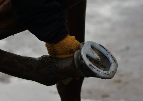 Sire De Grugy was showing off some new white plastic shoes. Picture: Getty
