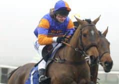 Andrew Thornton: ban halved. Picture: PA