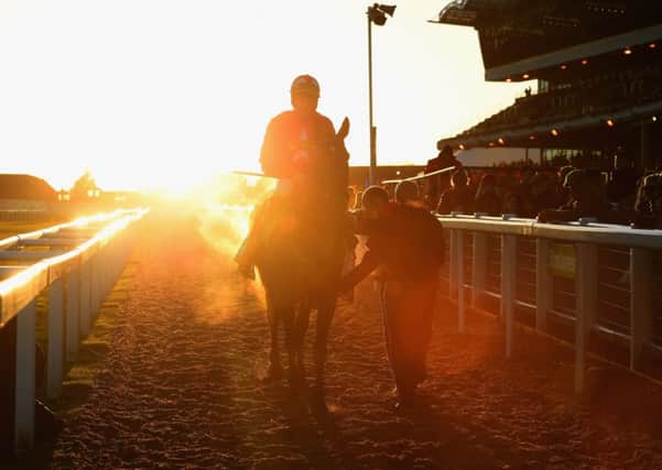 The New One is led to the winners' enclosure after victory in the International Hurdle. Picture: Getty