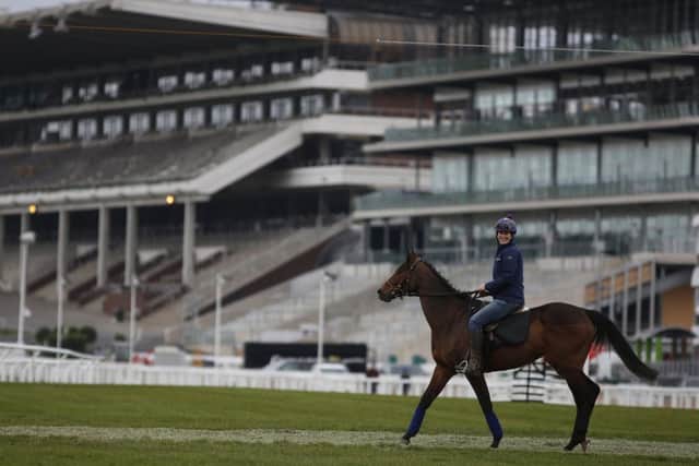 Hurricane Fly makes his way to the gallops at Cheltenham yesterday. Picture: Getty