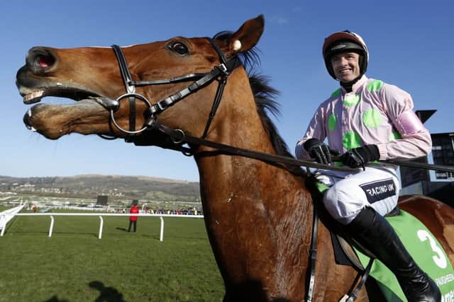 Ruby Walsh steersFaugheen back to the winners enclosure after his Champion Hurdle win. Picture: Getty