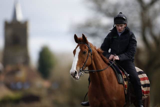 Sire De Grugy is in good fettle ahead of todays Queen Mother Champion Chase. Picture: Getty
