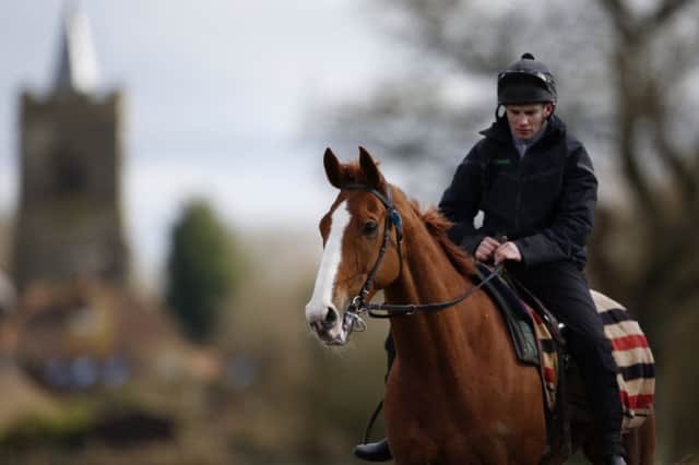 Sire De Grugy is in good fettle ahead of todays Queen Mother Champion Chase. Picture: Getty