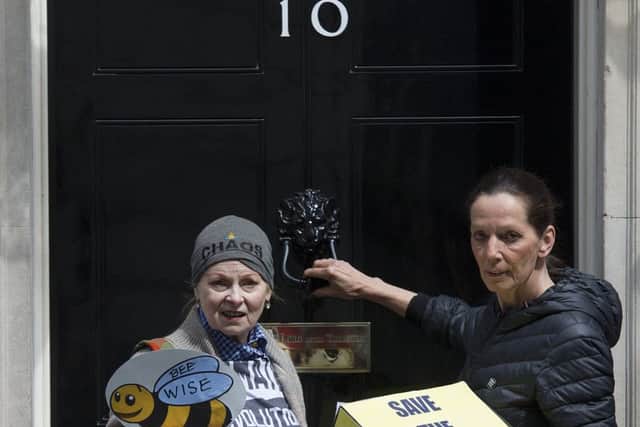 Vivienne Westwood and Katharine Hamnett deliver a petition to 10, Downing Street. Picture: Getty