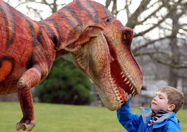 One youngster gets up close and personal with a dinosaur at the exhibition currently running at Edinburgh Zoo. Picture: Lisa Ferguson