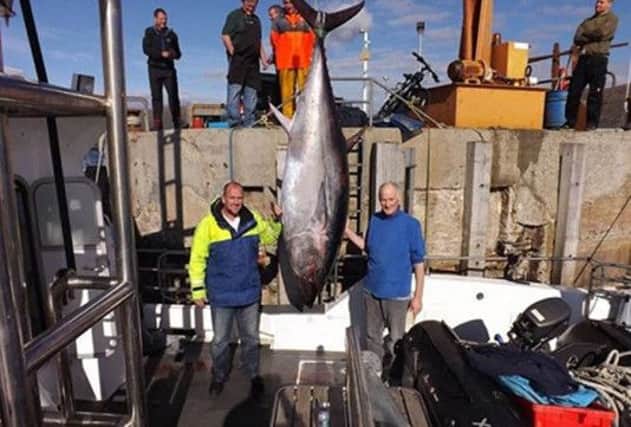 Angus Campbell, right, with the 2013 Hebridean tuna. Picture: Contributed