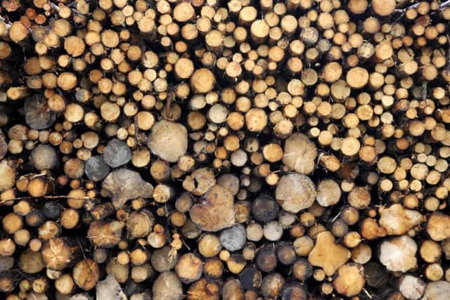 The company specialise in biomass. Picture: Jane Barlow