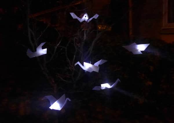 Installations such as this, created by student Natalie Smith, could feature in the light festival. Picture: Contributed