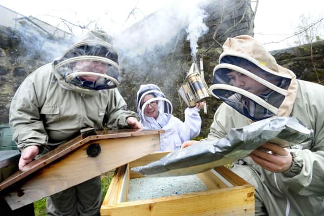 The Scottish Honey and Beeswax Consortium. Picture: Scottish Enterprise / Cooperativ