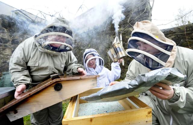 The Scottish Honey and Beeswax Consortium. Picture: Scottish Enterprise / Cooperativ